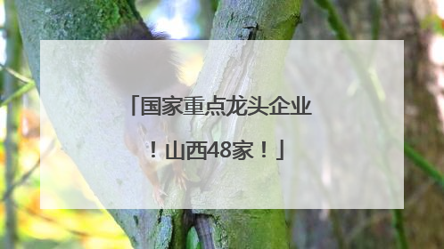 国家重点龙头企业！山西48家！