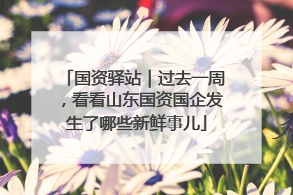国资驿站｜过去一周，看看山东国资国企发生了哪些新鲜事儿