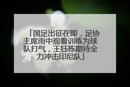 国足出征在即，足协主席雨中观看训练为球队打气，王钰栋期待全力冲击印尼队