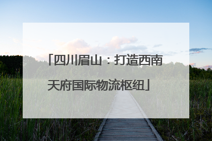 四川眉山：打造西南天府国际物流枢纽