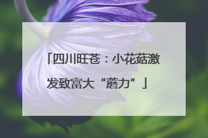 四川旺苍：小花菇激发致富大“蘑力”