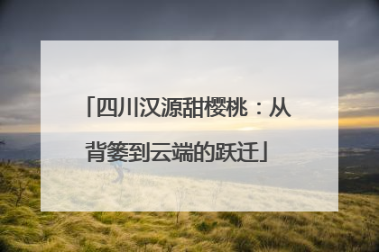 四川汉源甜樱桃：从背篓到云端的跃迁