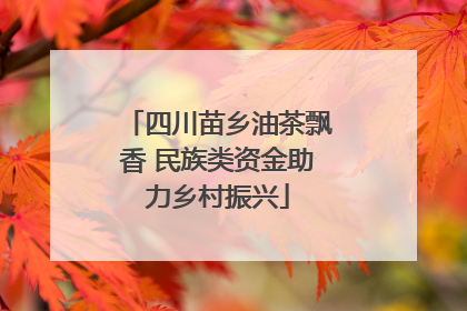 四川苗乡油茶飘香 民族类资金助力乡村振兴