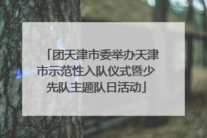 团天津市委举办天津市示范性入队仪式暨少先队主题队日活动
