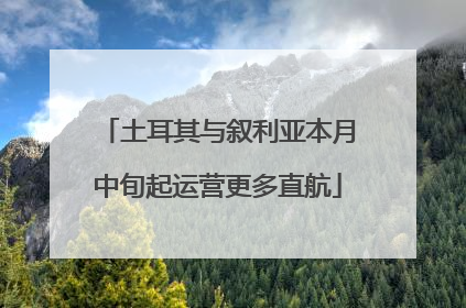 土耳其与叙利亚本月中旬起运营更多直航
