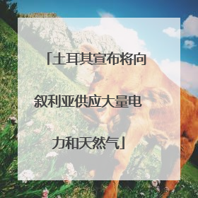 土耳其宣布将向叙利亚供应大量电力和天然气