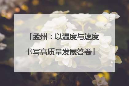 孟州：以温度与速度书写高质量发展答卷