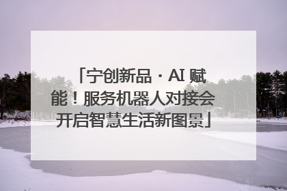 宁创新品・AI 赋能！服务机器人对接会开启智慧生活新图景