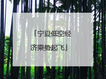 宁夏低空经济乘势起飞