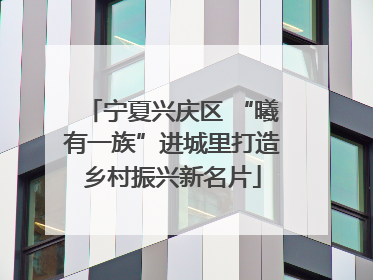 宁夏兴庆区 “曦有一族”进城里打造乡村振兴新名片