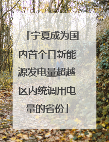 宁夏成为国内首个日新能源发电量超越区内统调用电量的省份