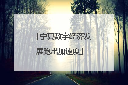 宁夏数字经济发展跑出加速度