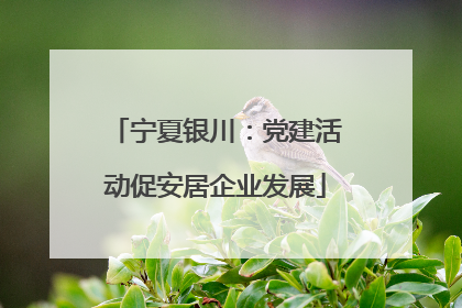 宁夏银川：党建活动促安居企业发展