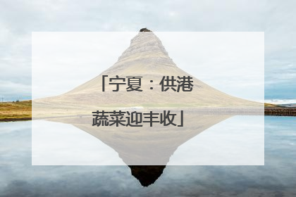 宁夏：供港蔬菜迎丰收