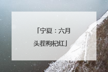 宁夏：六月头茬枸杞红