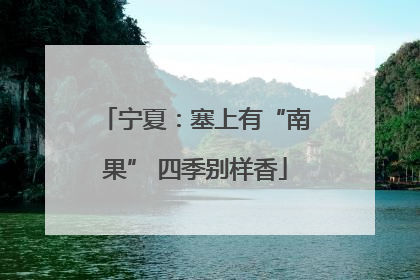 宁夏：塞上有“南果” 四季别样香