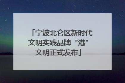 宁波北仑区新时代文明实践品牌“港”文明正式发布