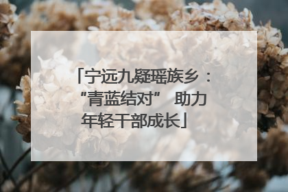 宁远九疑瑶族乡：“青蓝结对” 助力年轻干部成长