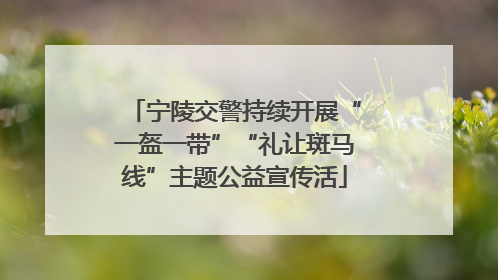 宁陵交警持续开展“一盔一带”“礼让斑马线”主题公益宣传活