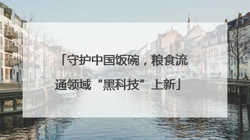 守护中国饭碗，粮食流通领域“黑科技”上新