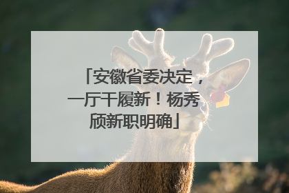 安徽省委决定，一厅干履新！杨秀颀新职明确