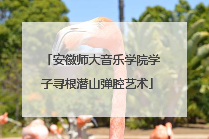 安徽师大音乐学院学子寻根潜山弹腔艺术
