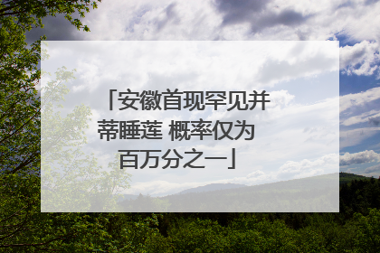安徽首现罕见并蒂睡莲 概率仅为百万分之一