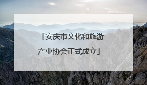 安庆市文化和旅游产业协会正式成立