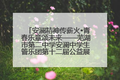 安澜精神传薪火•青春乐章颂未来——芜湖市第二中学安澜中学生管乐团第十二届公益展演圆满举行