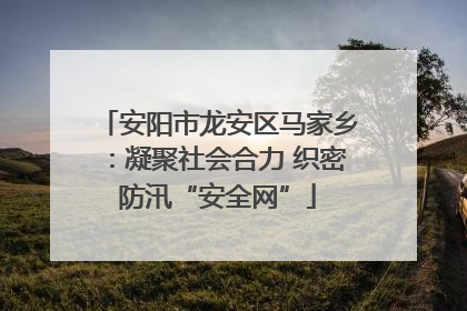安阳市龙安区马家乡：凝聚社会合力 织密防汛“安全网”