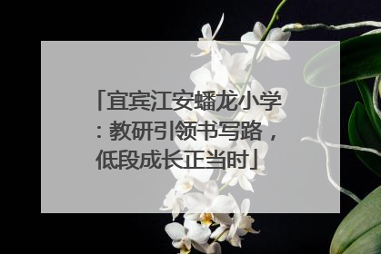 宜宾江安蟠龙小学：教研引领书写路，低段成长正当时