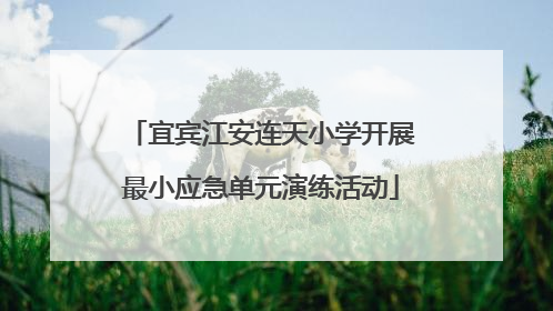 宜宾江安连天小学开展最小应急单元演练活动