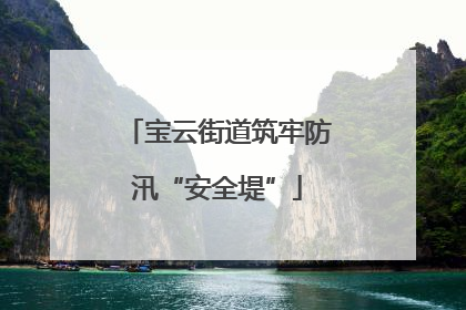宝云街道筑牢防汛“安全堤”