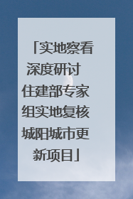实地察看深度研讨 住建部专家组实地复核城阳城市更新项目