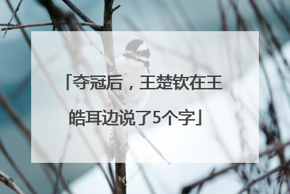 夺冠后，王楚钦在王皓耳边说了5个字