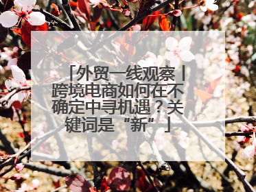 外贸一线观察丨跨境电商如何在不确定中寻机遇？关键词是“新”
