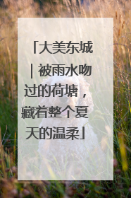 大美东城｜被雨水吻过的荷塘，藏着整个夏天的温柔