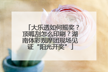 大乐透如何摇奖？顶呱刮怎么印刷？湖南体彩观摩团现场见证“阳光开奖”
