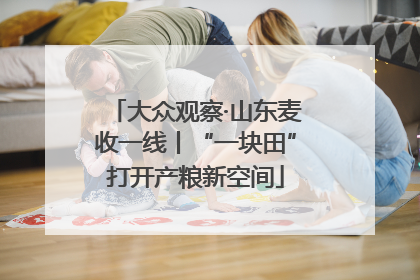 大众观察·山东麦收一线丨“一块田”打开产粮新空间