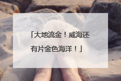 大地流金！威海还有片金色海洋！