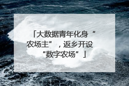 大数据青年化身“农场主”，返乡开设“数字农场”