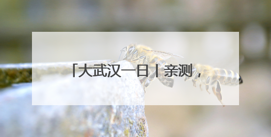 大武汉一日丨亲测，这里搭帐篷露营绝了