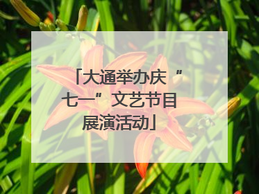 大通举办庆“七一”文艺节目展演活动