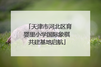 天津市河北区育婴里小学国际象棋共建基地启航