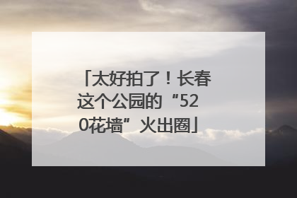 太好拍了！长春这个公园的“520花墙”火出圈
