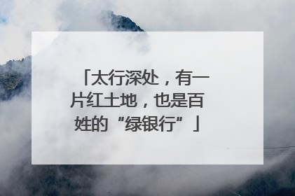 太行深处，有一片红土地，也是百姓的“绿银行”