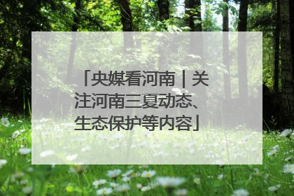 央媒看河南｜关注河南三夏动态、生态保护等内容
