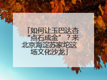 如何让玉巴达杏“点石成金”？来北京海淀苏家坨这场文化沙龙