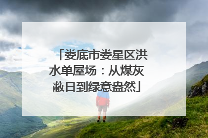 娄底市娄星区洪水单屋场：从煤灰蔽日到绿意盎然