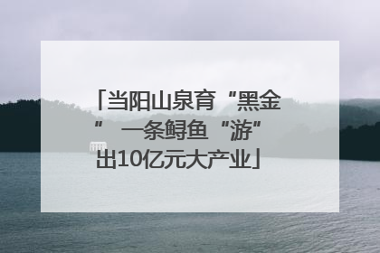 当阳山泉育“黑金” 一条鲟鱼“游”出10亿元大产业